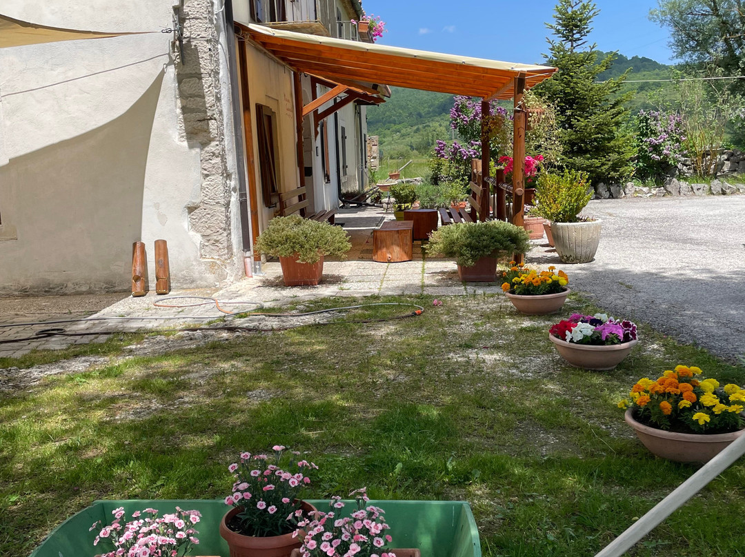 Masseria Cerasella主图