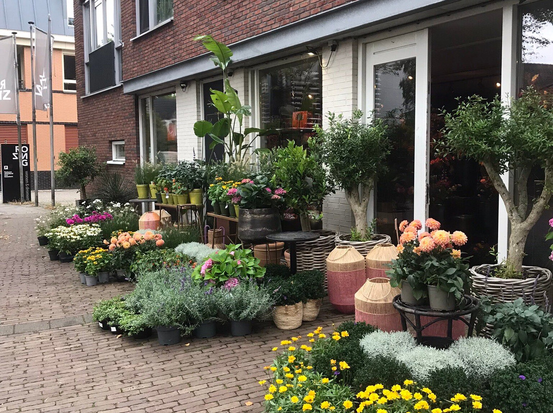 Bloemenhuis Monique-Heiloo必去景点