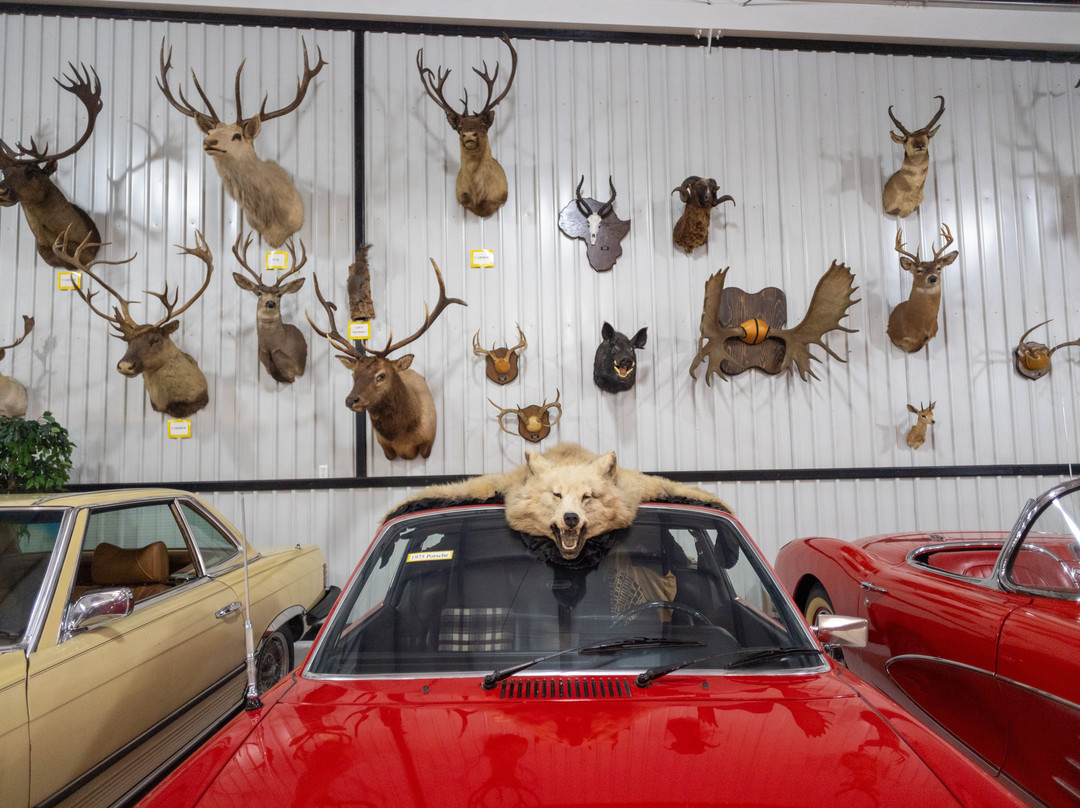 Grice Clearfield Community Museum-克利尔菲必去景点