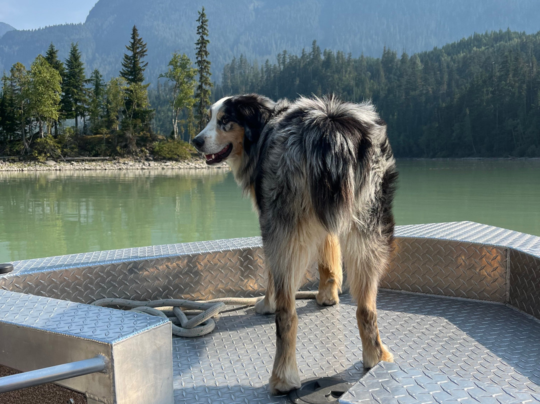 River Safari-Blue River必去景点