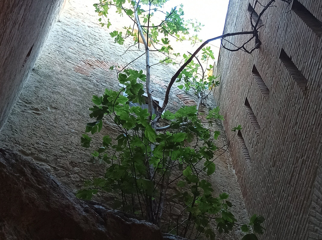 Fortezza di Rocca Sinibalda-Rocca Sinibalda必去景点