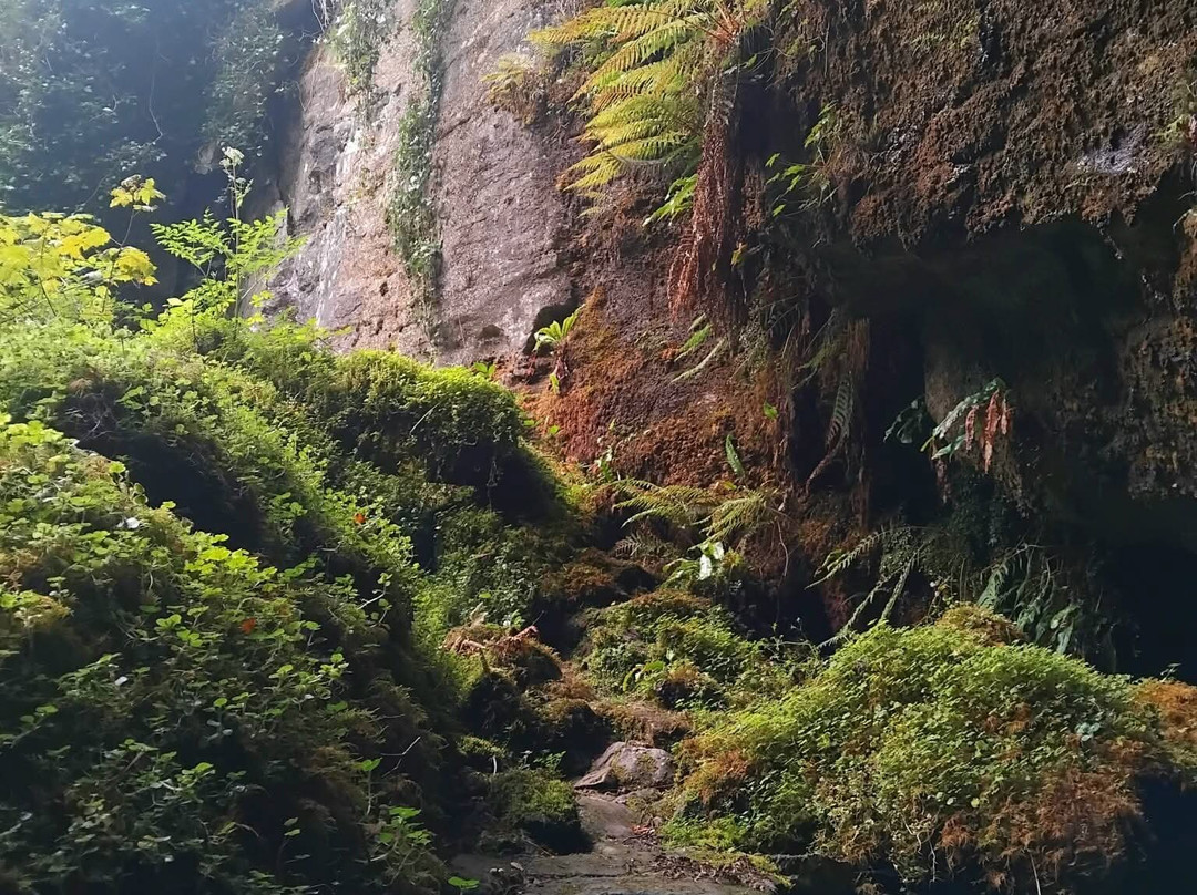 Belmore Forest - Pollnagollum Cave Walk-恩尼斯基林必去景点