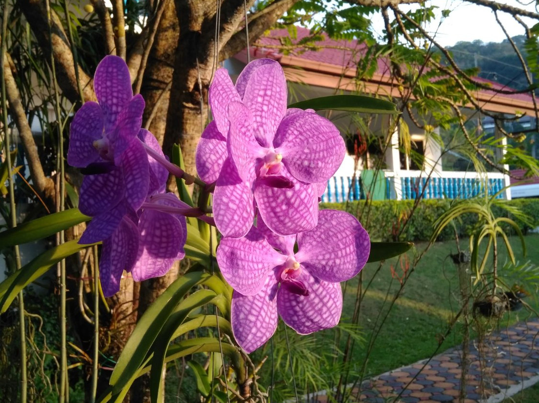 潘别墅酒店主图