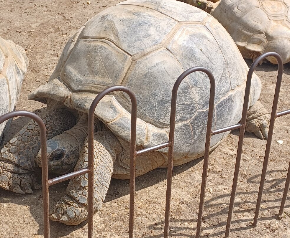 Zoo de La Palmyre-La Palmyre-Les Mathes必去景点