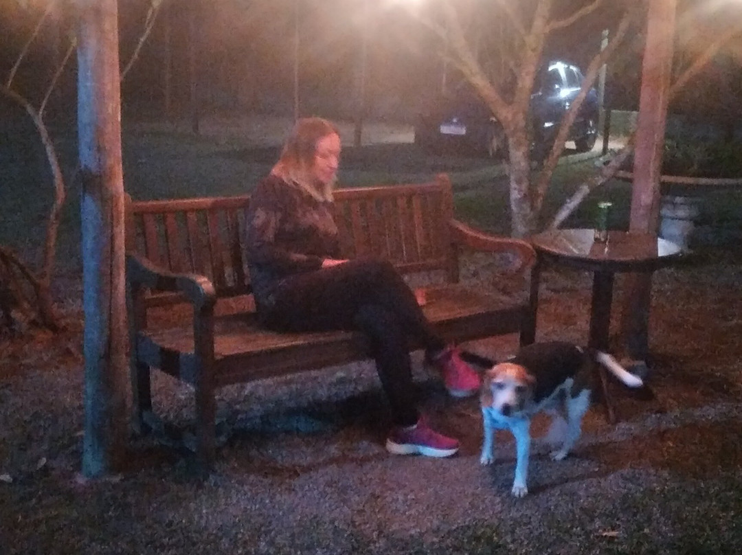 Pousada Gaia Viva主图