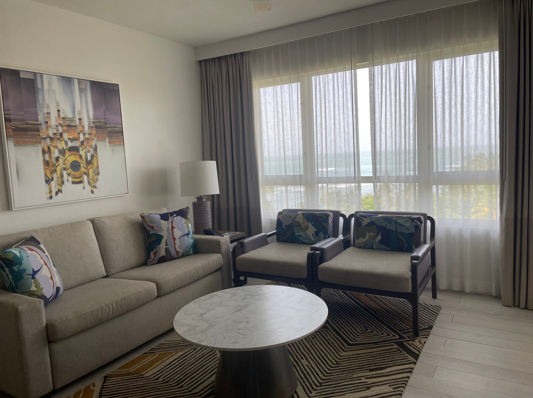 哈西恩德戴尔马尔凯悦酒店主图