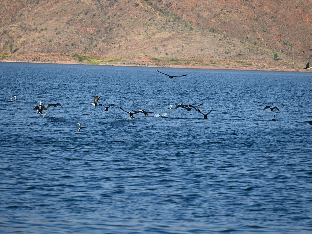 Lake Argyle Tours "Kimberley Durack"-库努纳拉必去景点