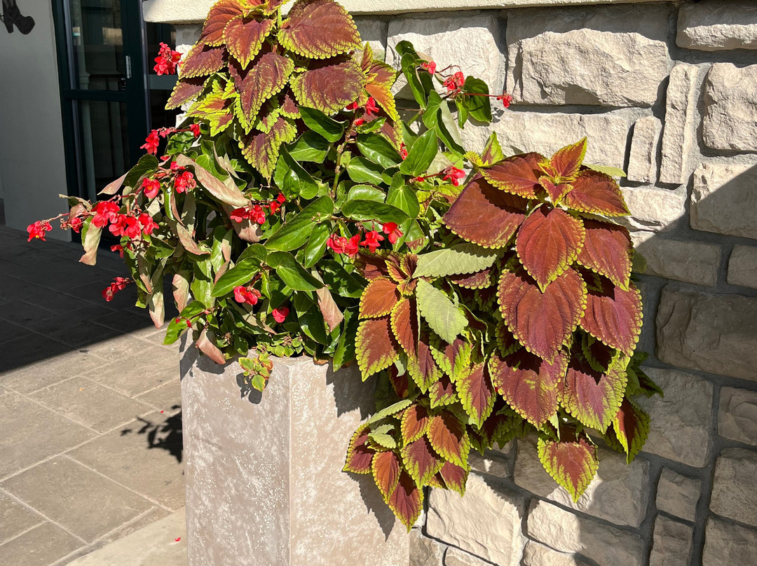 布特希尔套房酒店主图