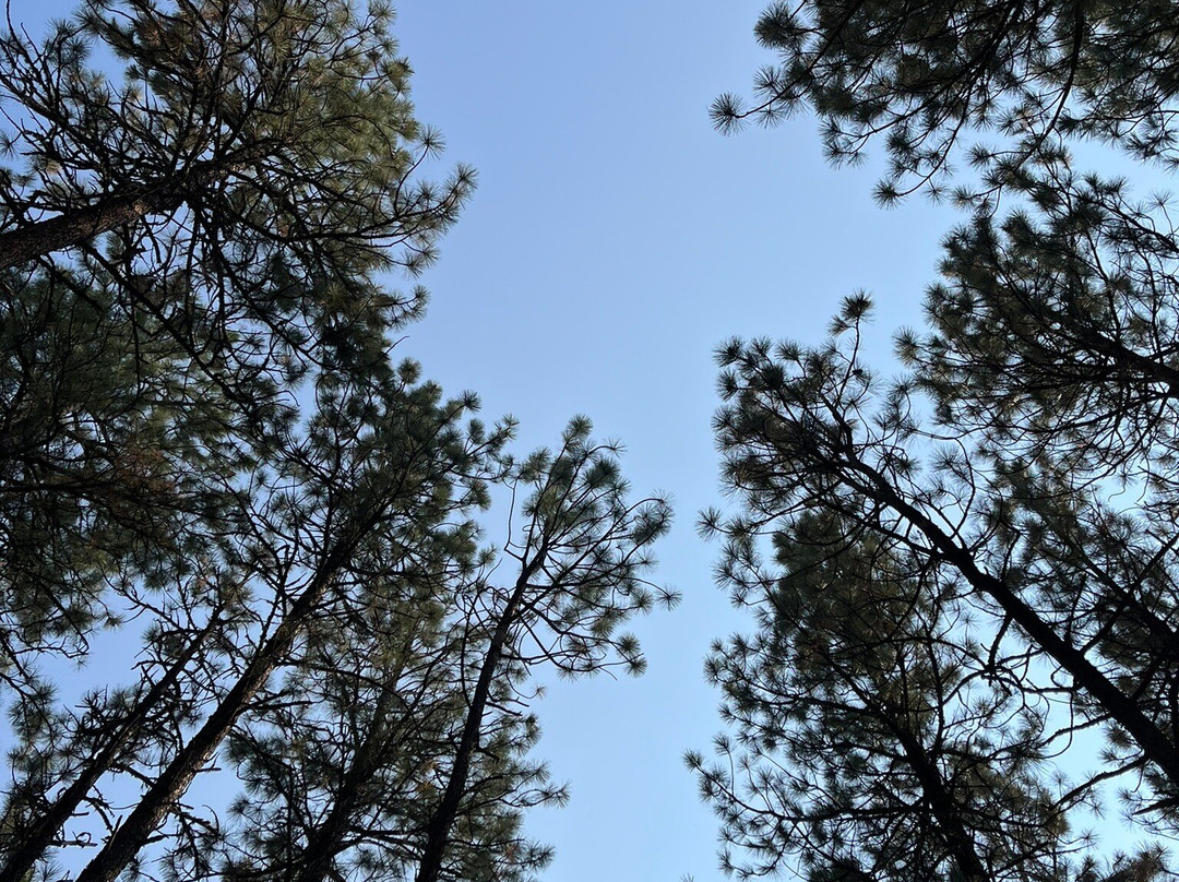 Wasa Lake Provincial Park-Wasa必去景点