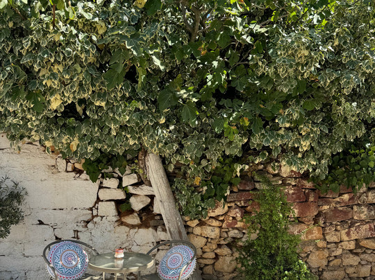 105olives boutique travel-克里特岛必去景点