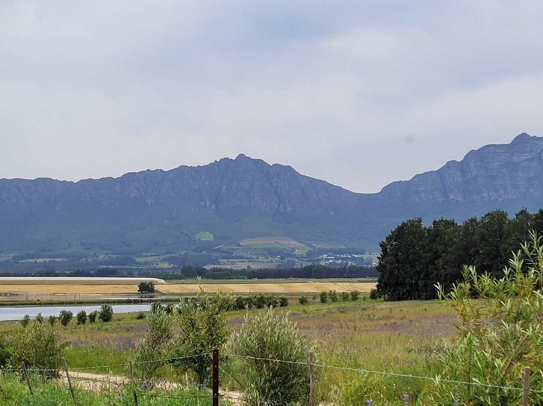 曼利葡萄酒小屋主图