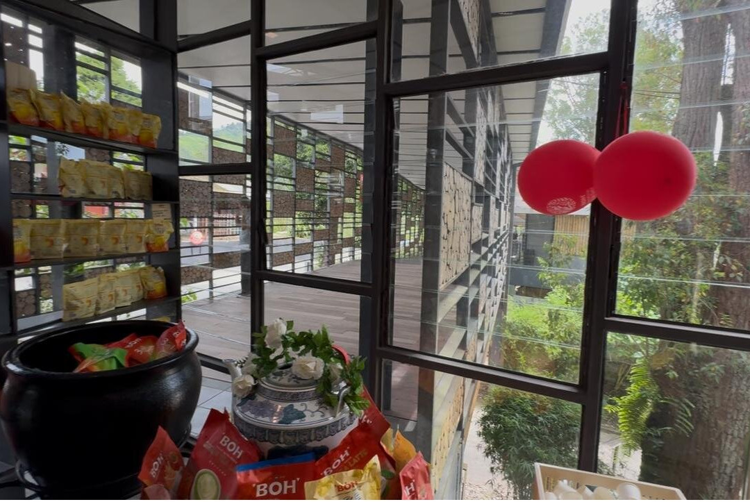 Boh Tea Estate-冷力必去景点