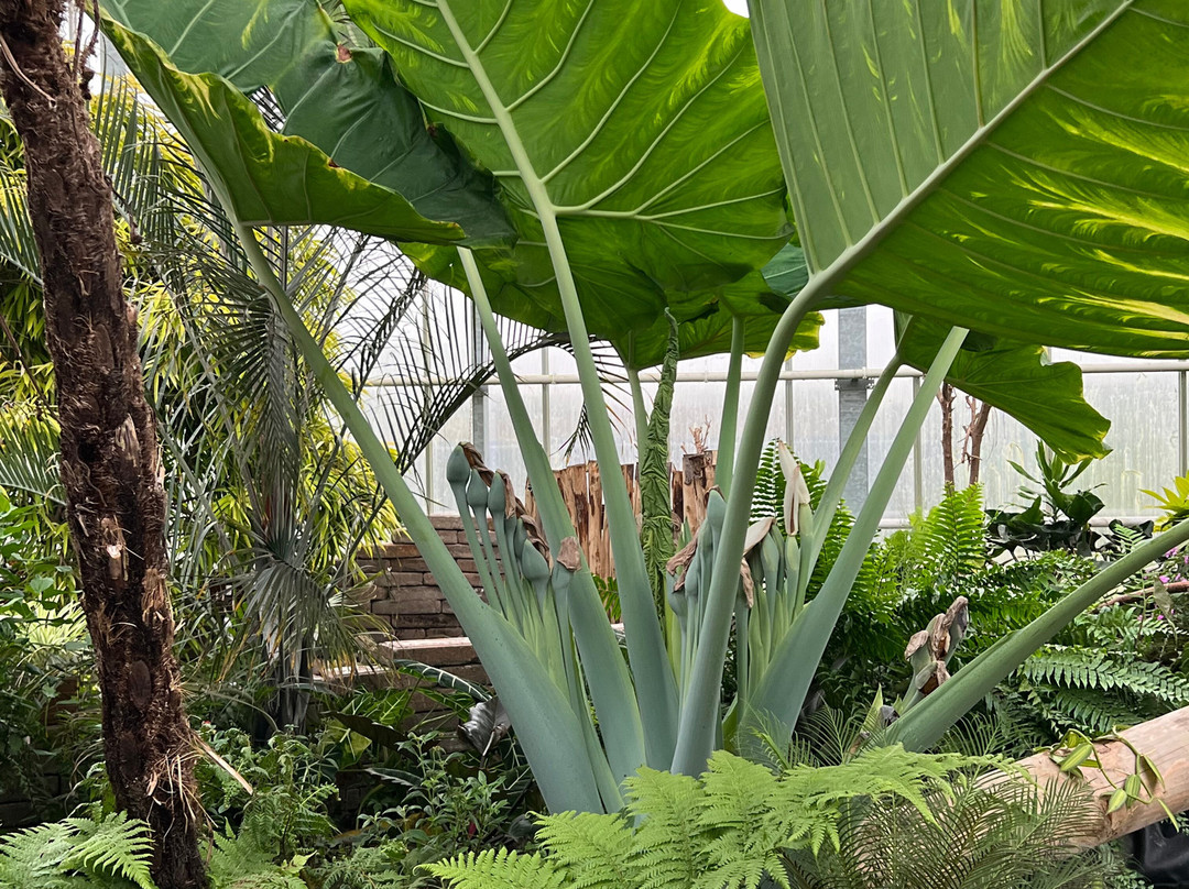 Vlindertuin Vlindorado-Waarland必去景点