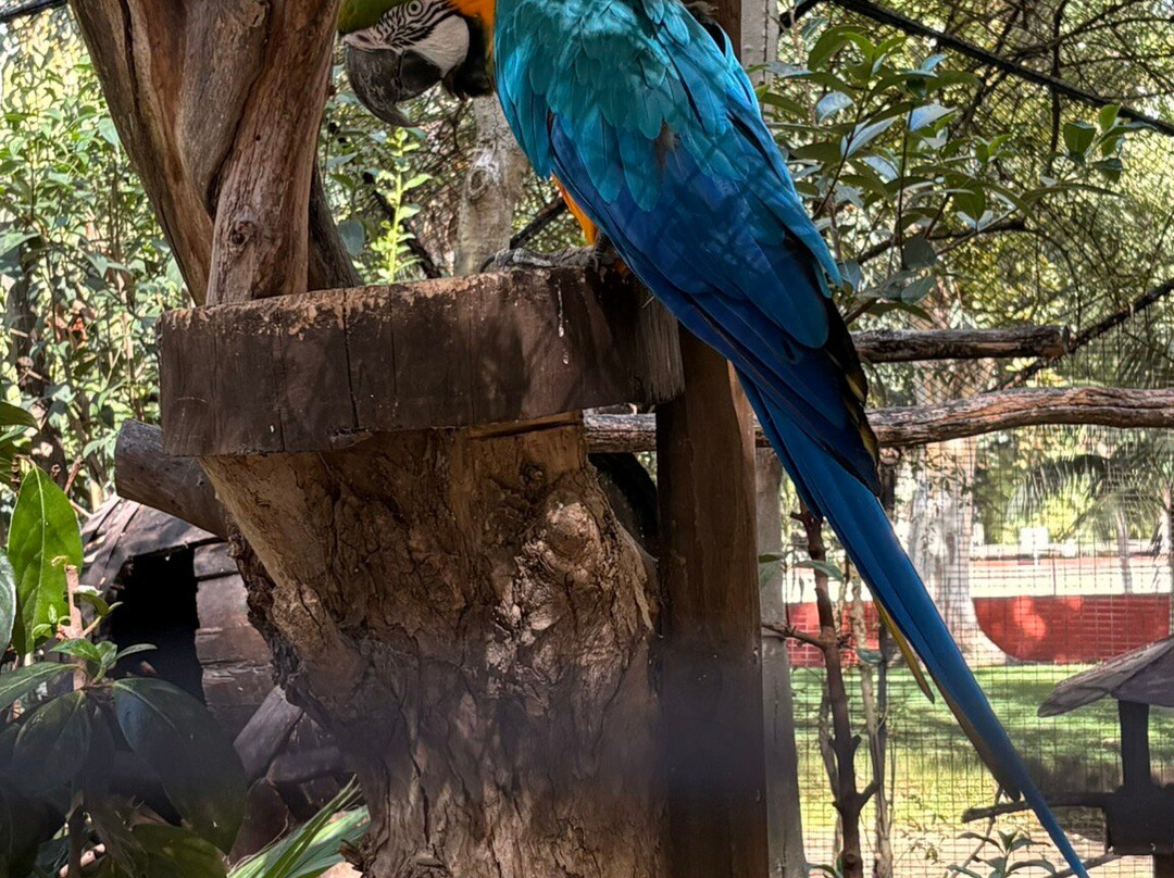 Lo Zoo di Napoli-那不勒斯必去景点