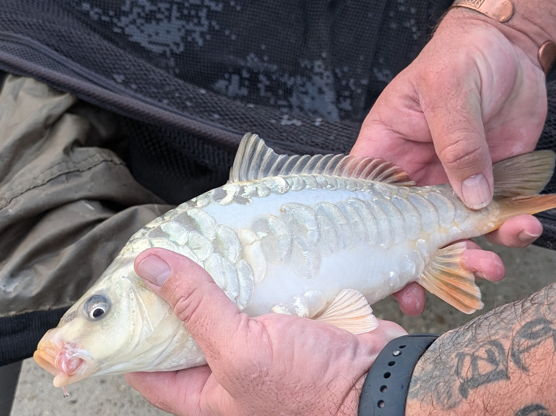 Lakeside Fishing Retreats