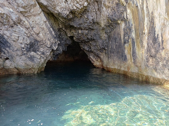 Salty Gecko Boat Tours-塞新布拉必去景点