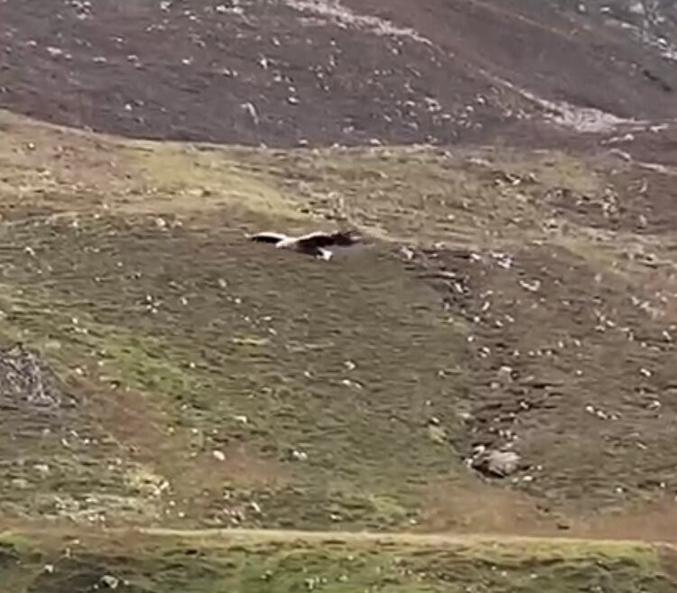 Stardust Boat Trips Portree-Portree必去景点