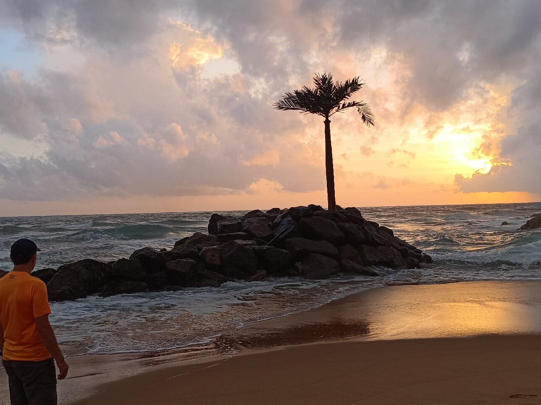 Aaryan Cars-科伦坡必去景点