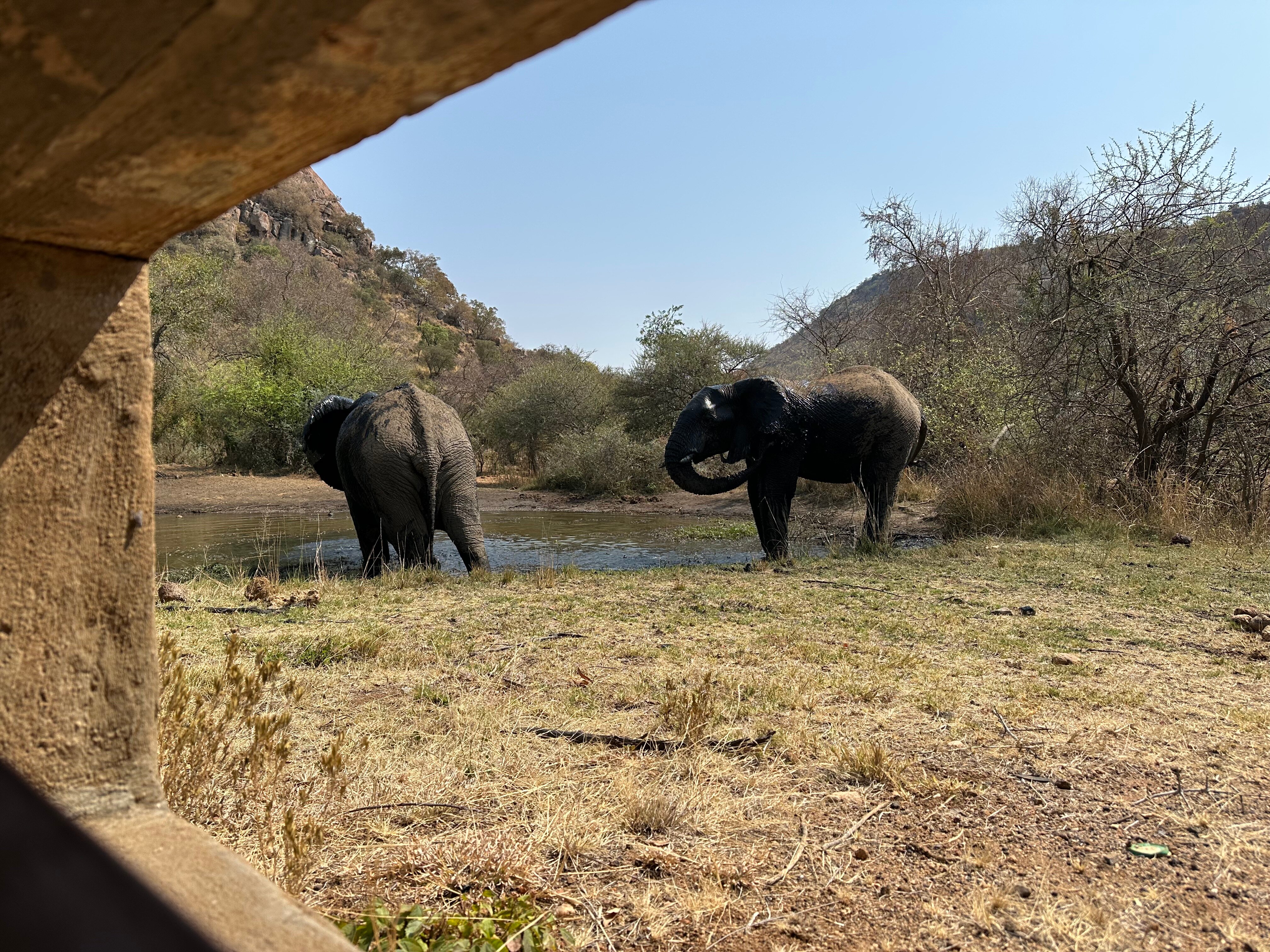 土瓜湾海滨小屋-浴室