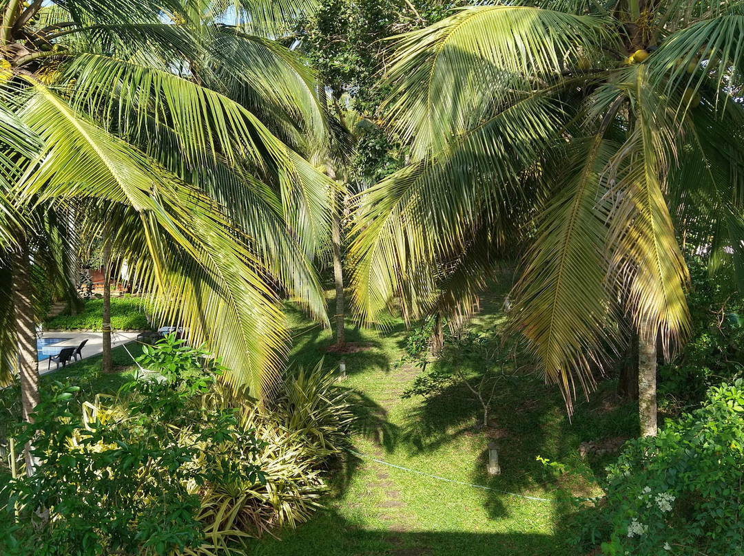 Aanandakosha Ayurveda Retreat主图