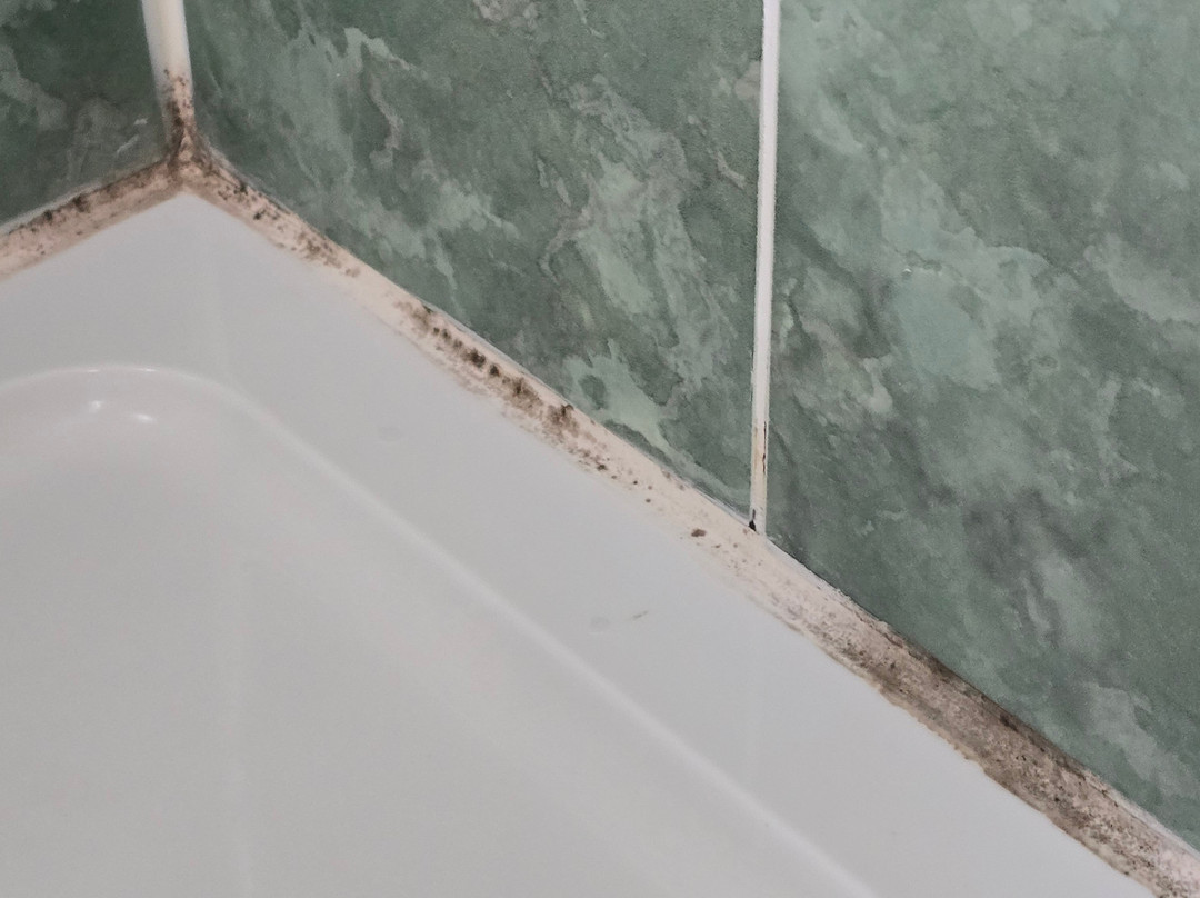 The Broom Lodge主图