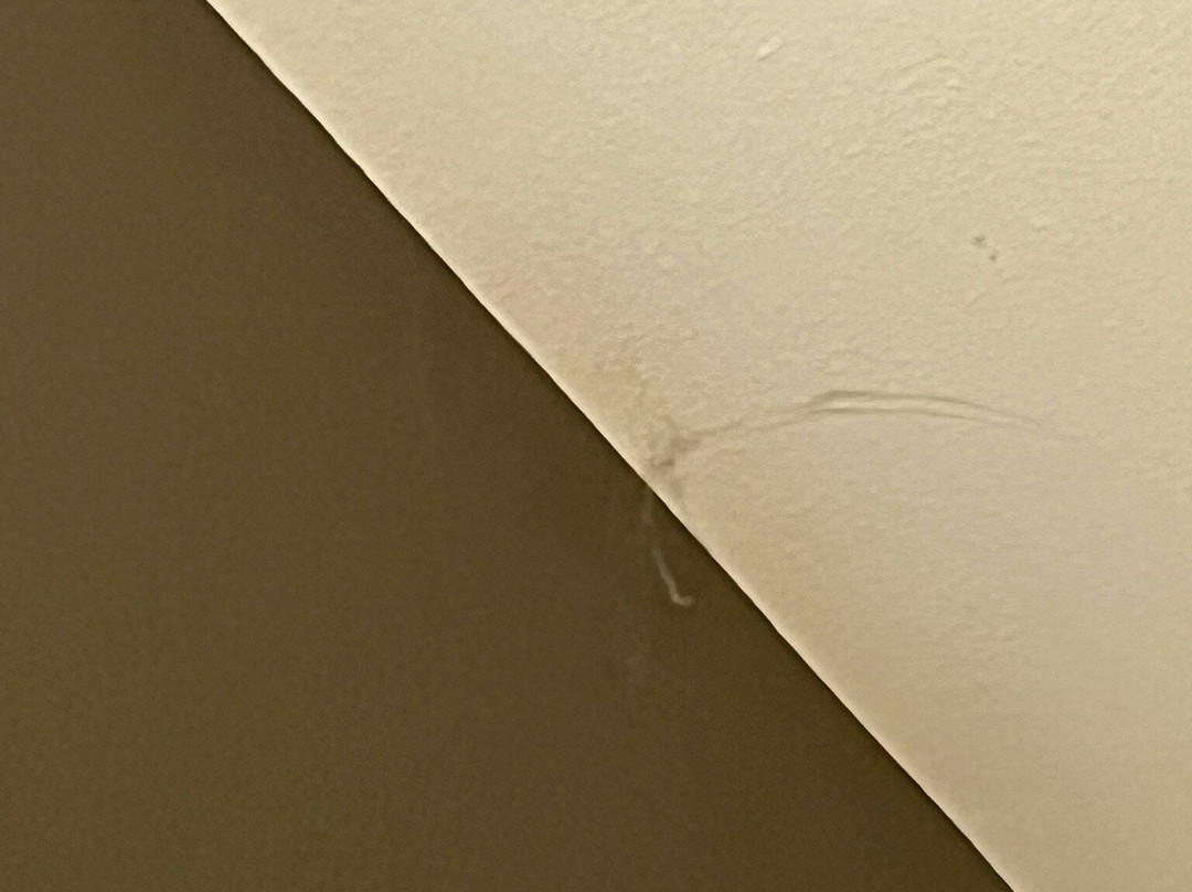 Days Inn & Suites by Wyndham Manheim Lebanon主图