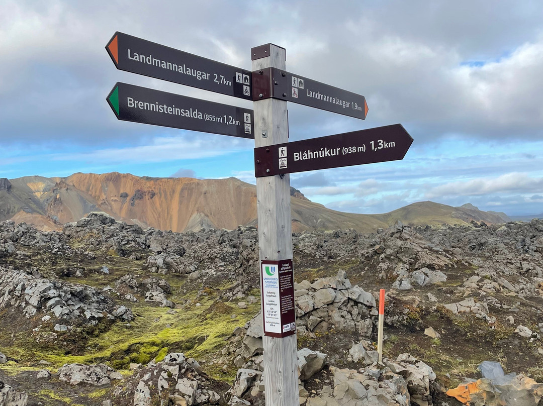 Arctic Yeti-雷克雅未克必去景点