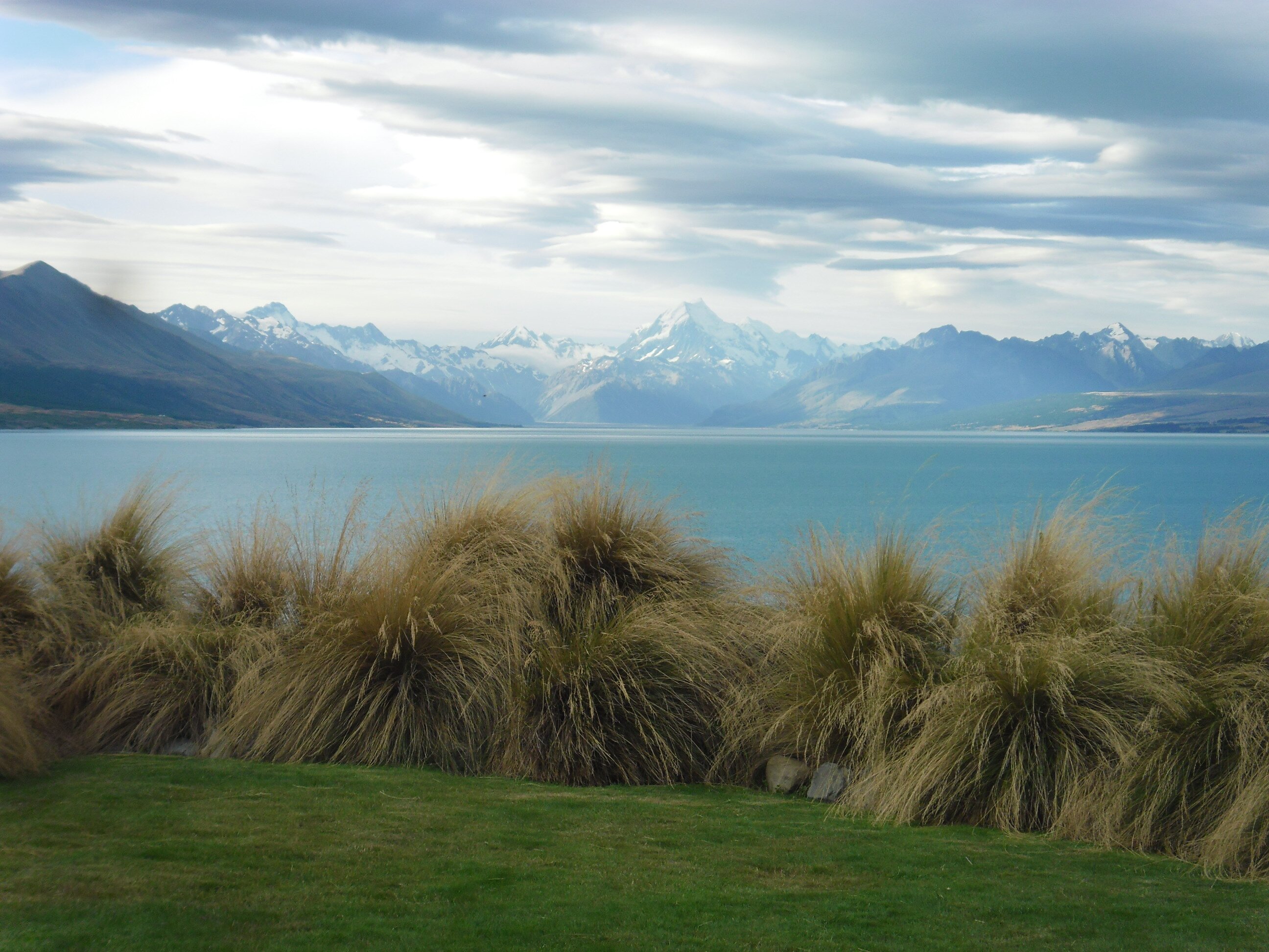 湖石小屋-酒店景观