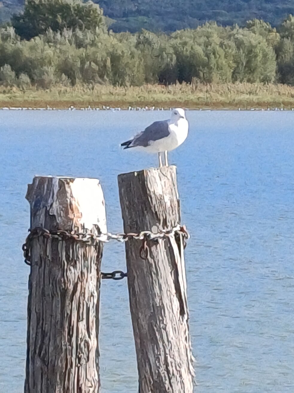 Isole e Tramonti-官方