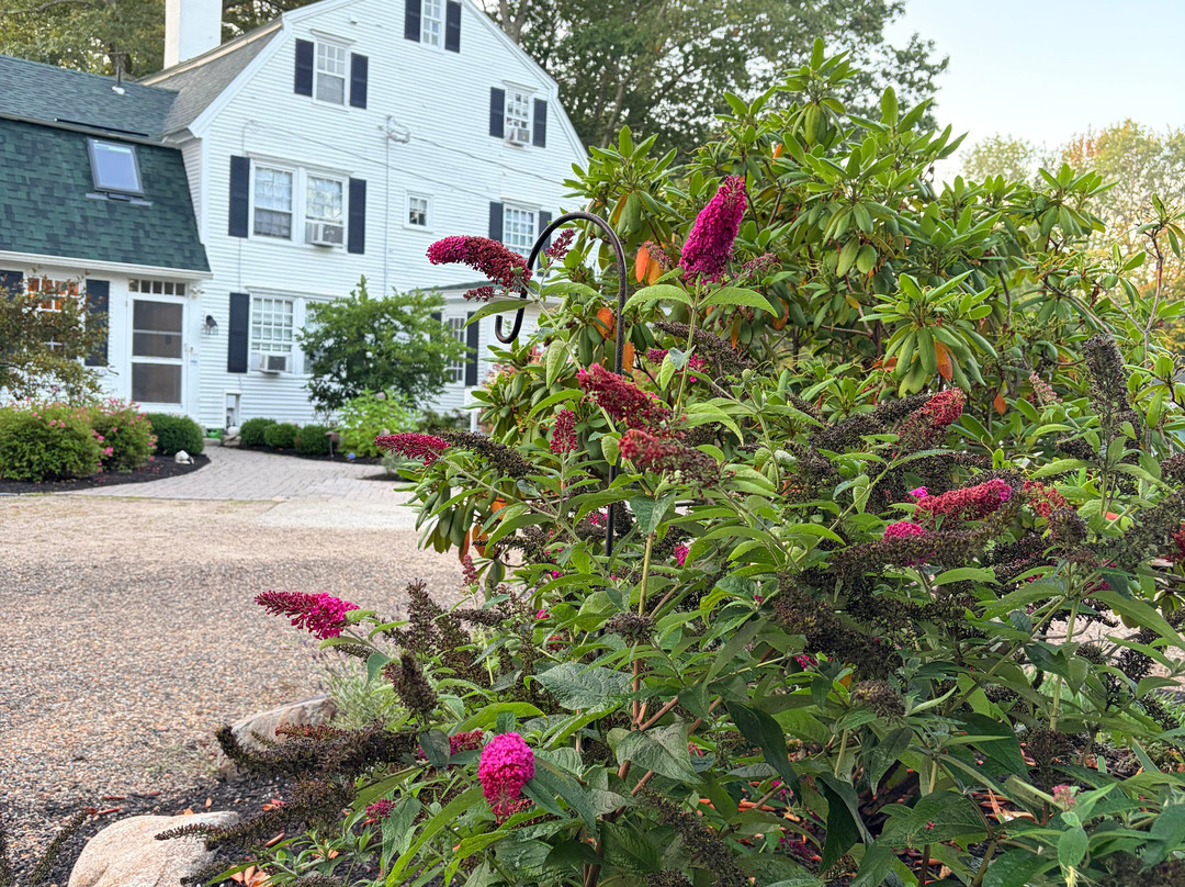 Waldo Emerson Inn主图