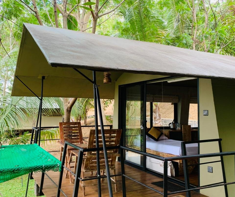 Ele Camp Udawalawa主图