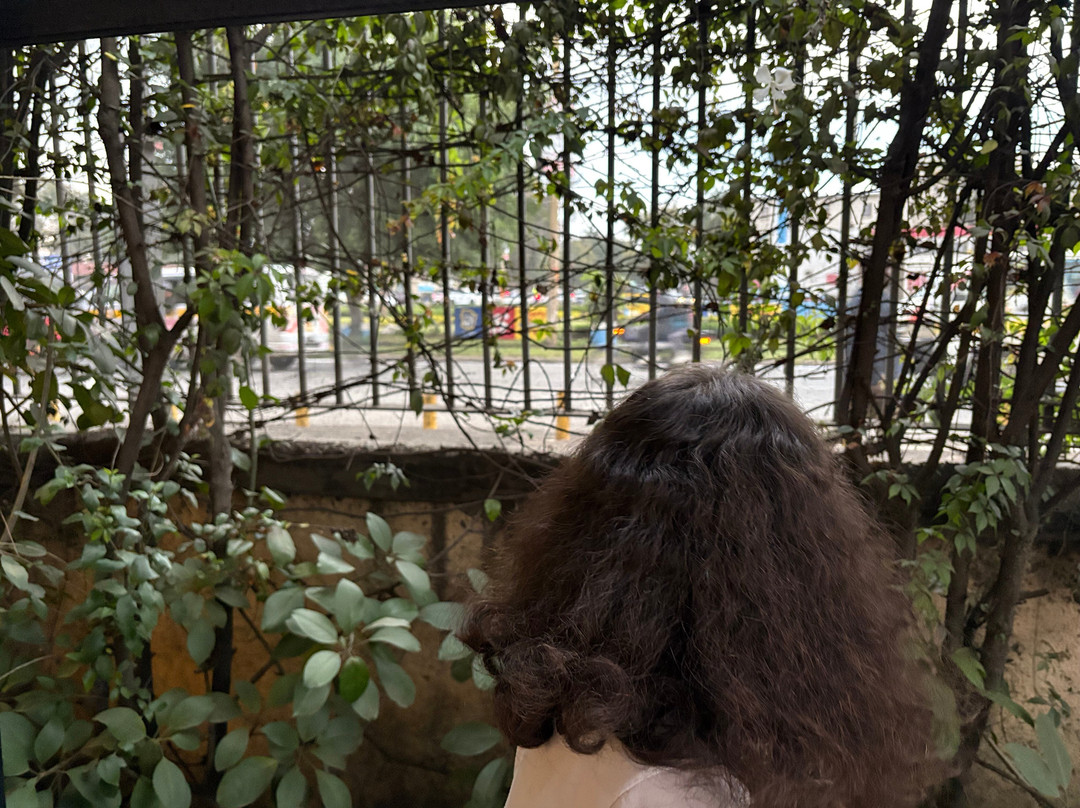 Kfa Round About Park