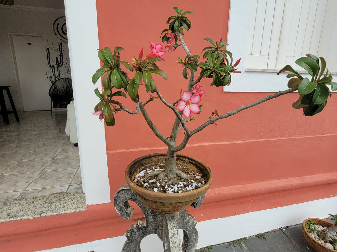 Pousada Maria Bonita主图