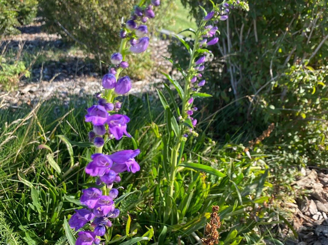 Hagerman Fossil Beds National Monument-Hagerman必去景点