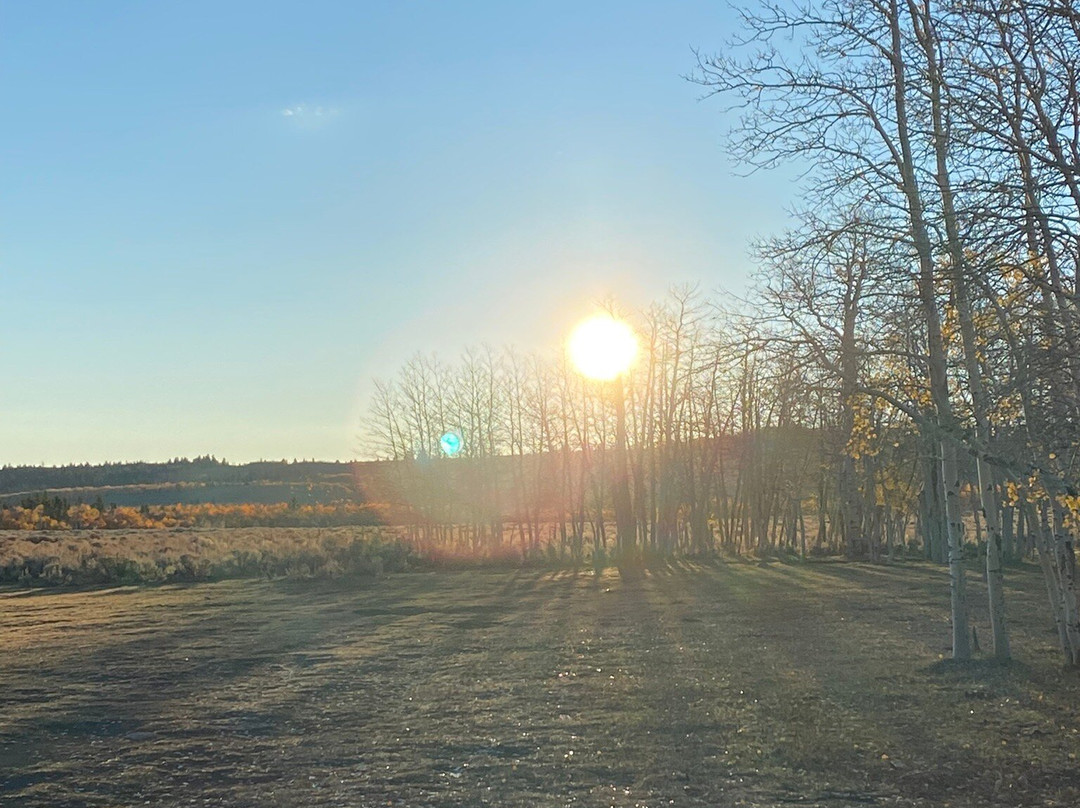 Wasatch-Cache National Forest-布莱敦必去景点