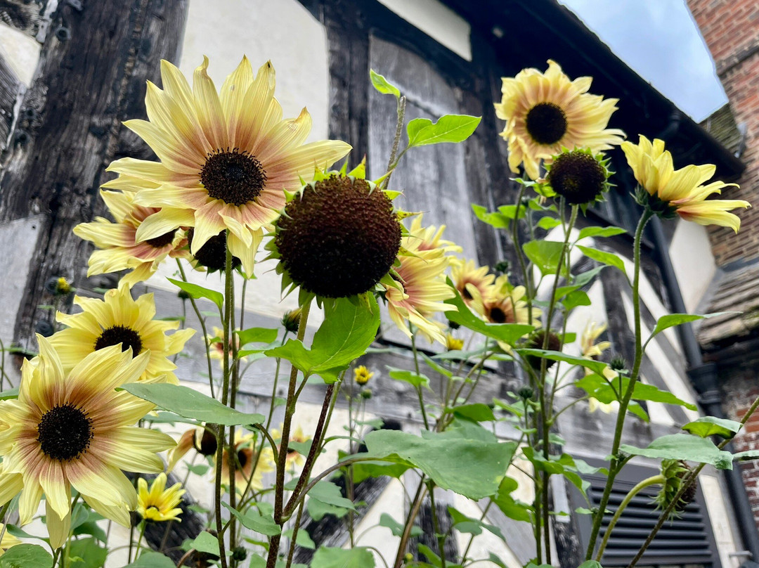 Little Moreton Hall-康格尔顿必去景点