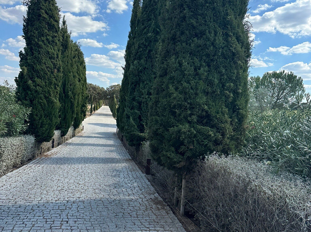 Herdade das Servas - Enoturismo-Estremoz必去景点