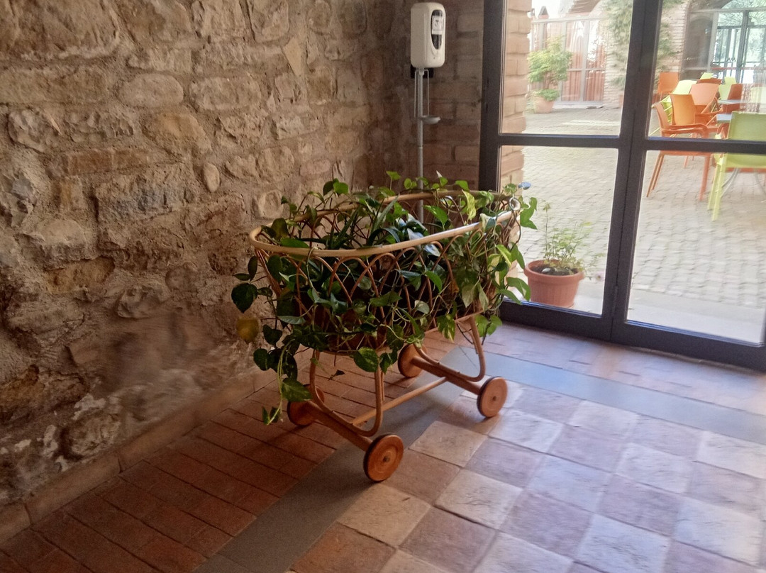 Torrenova Di Assisi Country House主图