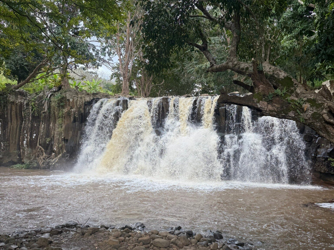 Rochester Falls-Souillac必去景点