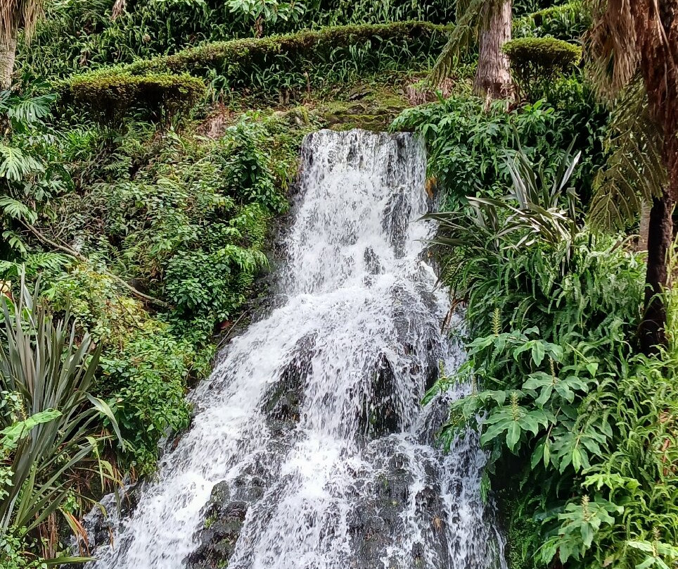 Jardim Botânico Da Ribeira Do Guilherme-Nordeste必去景点