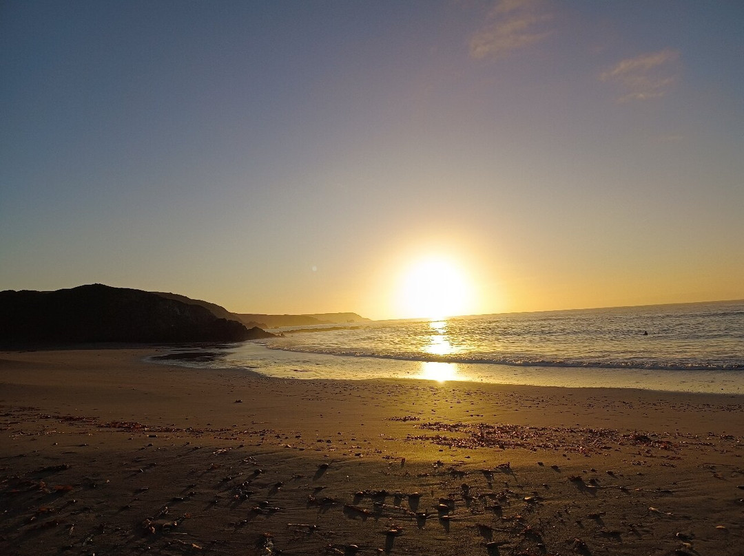 Sea Acres Holiday Park-赫尔斯顿必去景点