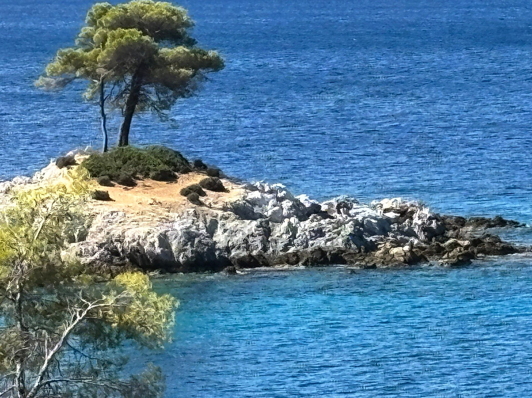 Three Trees Amarandos-斯科派洛斯必去景点