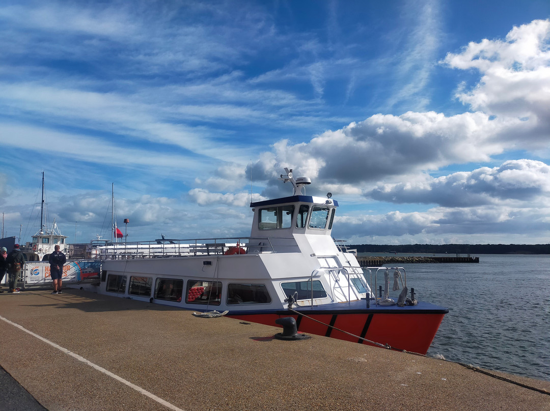 Birds Of Poole Harbour Events-普尔必去景点