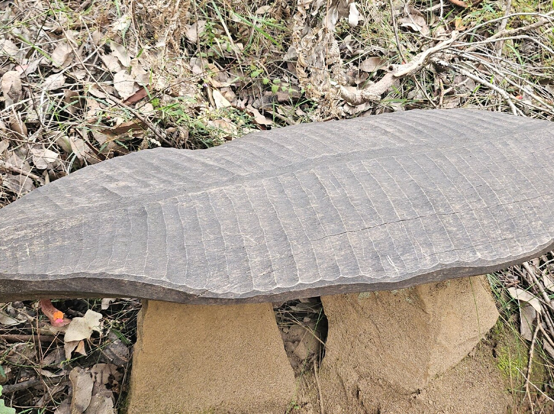 Understory Art & Nature-Northcliffe必去景点