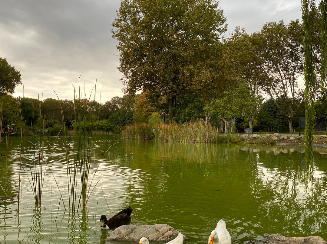 Soğanlı Botanik Parkı-布尔萨必去景点