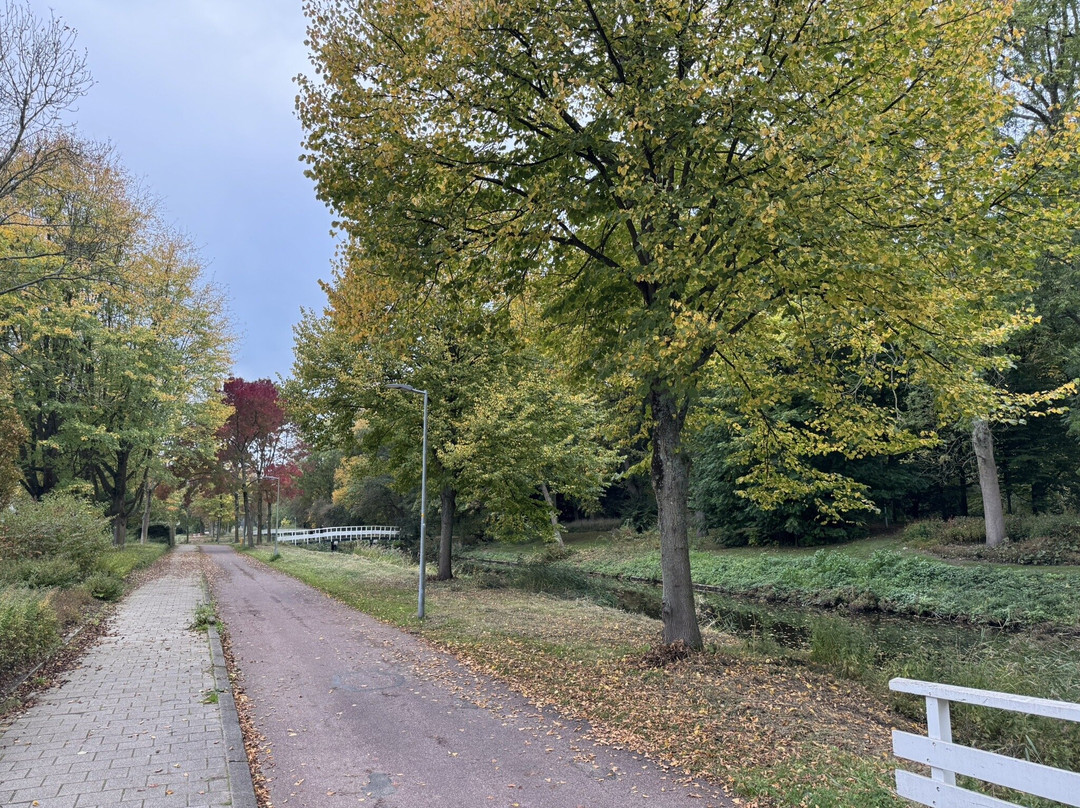 Kinderboerderij De Boerenzwaluw-霍夫多普必去景点