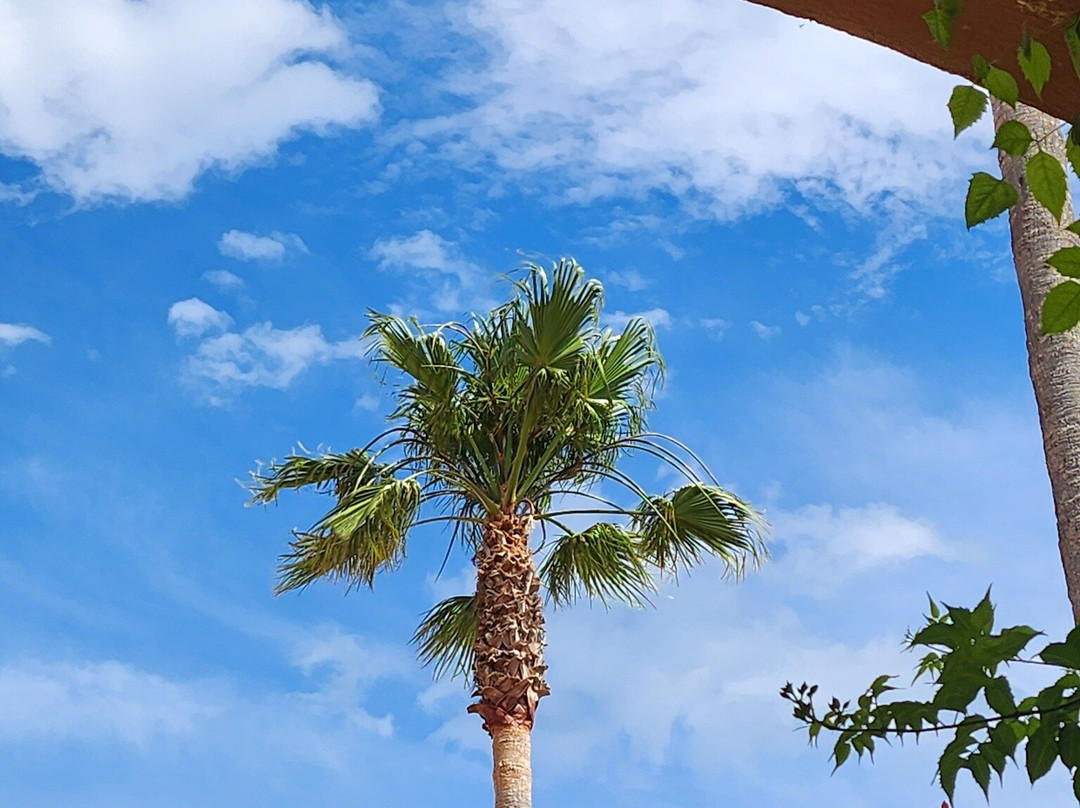Le Palmyra Golf Hotel主图