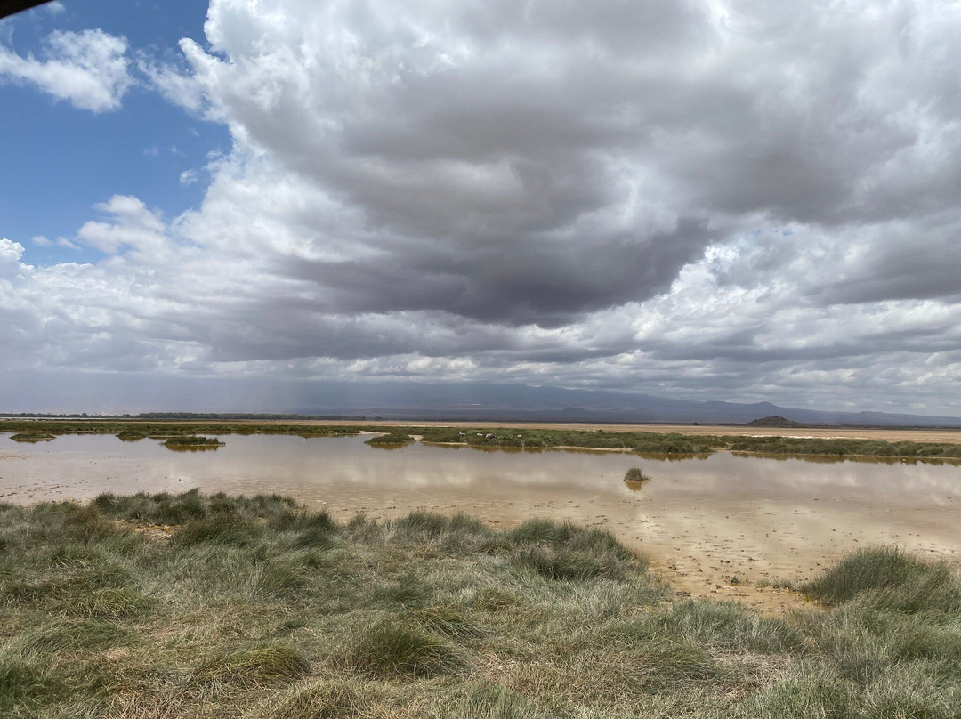 Antonio Safaris-Karen必去景点