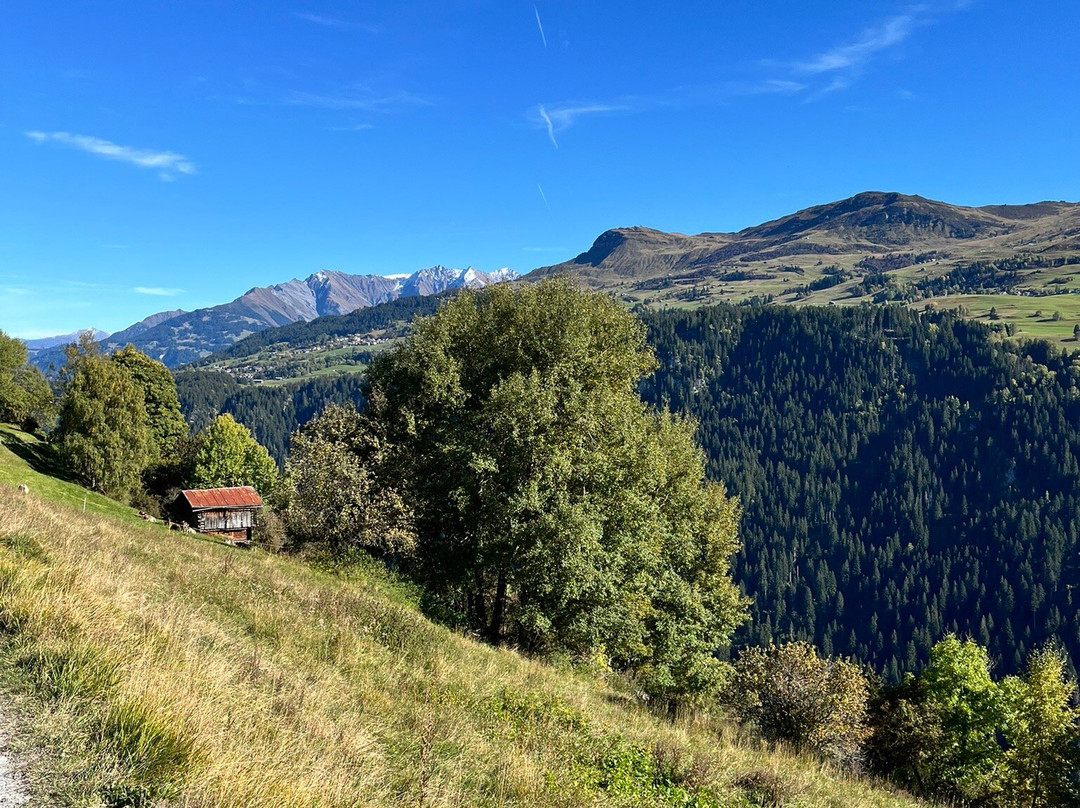 Family hotel Clarezia主图