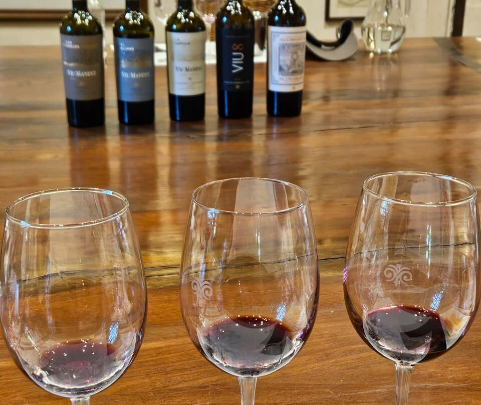 Colchagua Wine Tours-圣克鲁斯必去景点